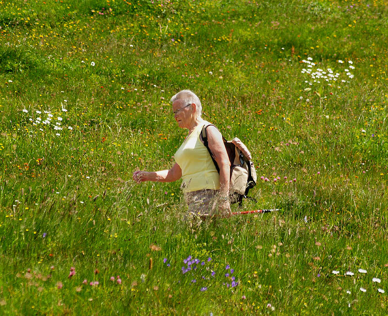 お花畑を歩くおばあさん