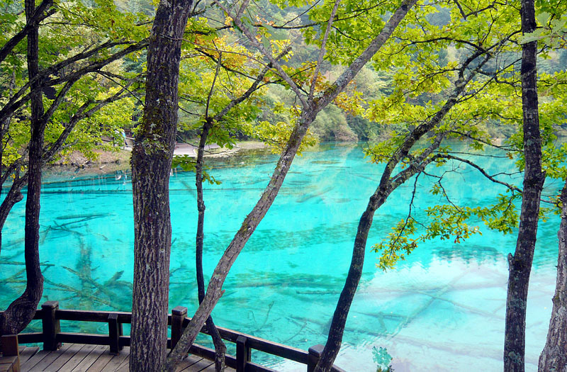 Rogu[̔܉ԊC@Colorful Lake