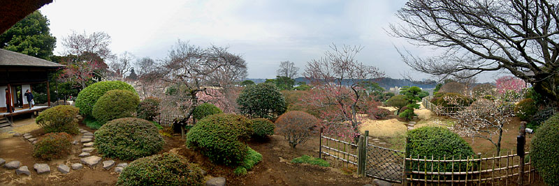 桜の間廊下より東方の景観