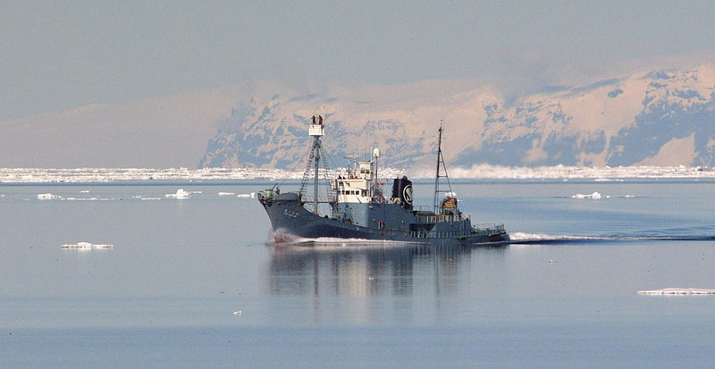 南氷洋で鯨を追うキャッチャーボート