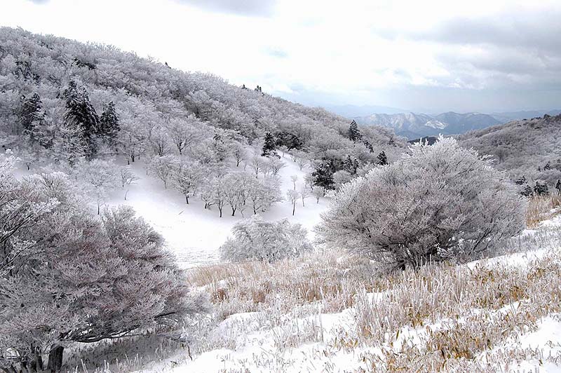 奈良・三峰山八丁平