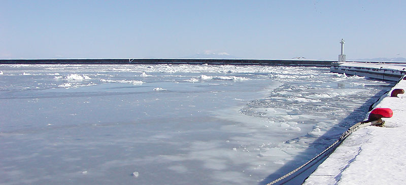 流氷と結氷の羅臼港