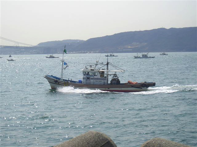 明石海峡のイカナゴ漁