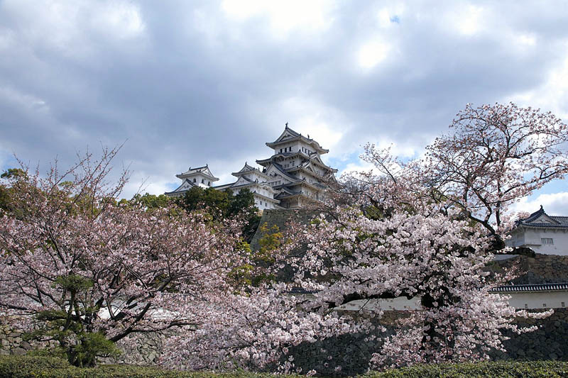 姫路城の桜　2007/4