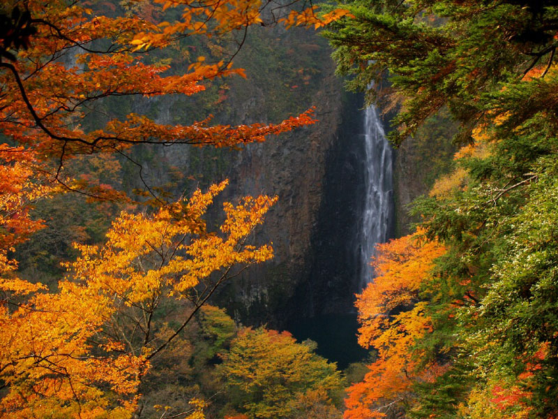 九重『夢』大吊橋の紅葉と滝