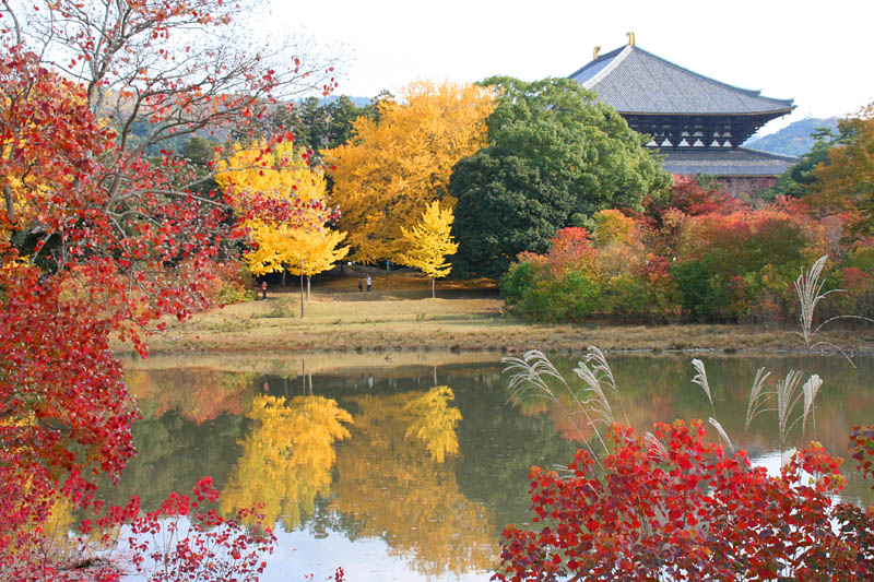 奈良・東大寺の紅葉