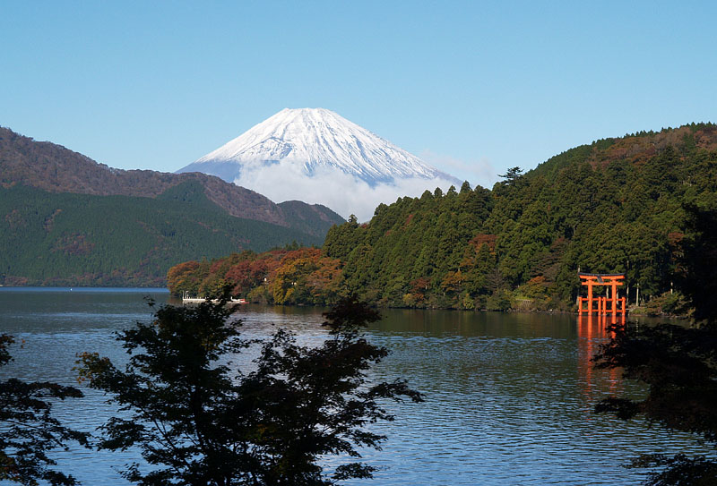 元箱根の木々の間から見える富士山
