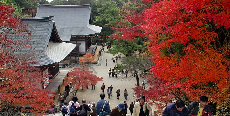 神護寺の紅葉（京都・高雄）