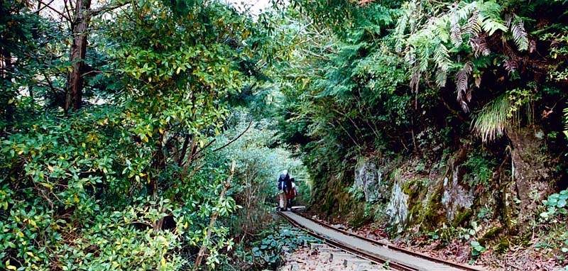 森林鉄道の道