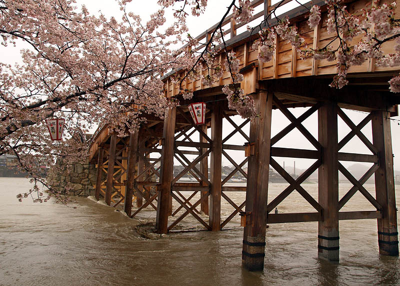 橋脚を洗う錦川の濁流