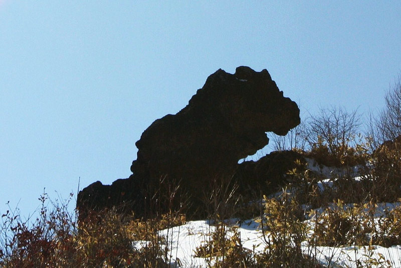野辺山高原の獅子岩