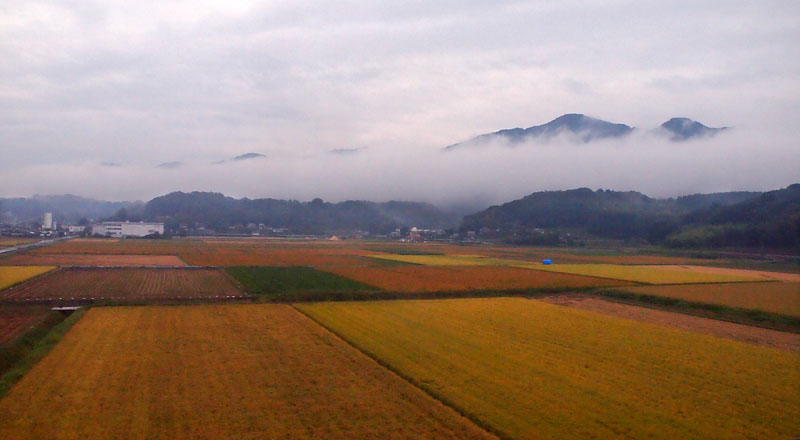 車窓から臨む秋の田園風景 / 熊本平野　08:53