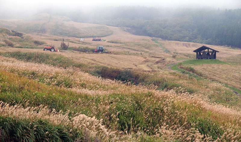 牧草の刈入れ作業 / 米塚下園地