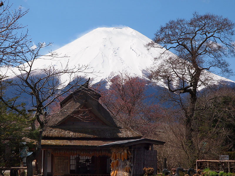 水車小屋と富士山