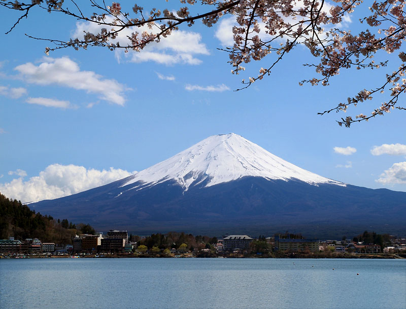 桜の下から見た富士の容姿