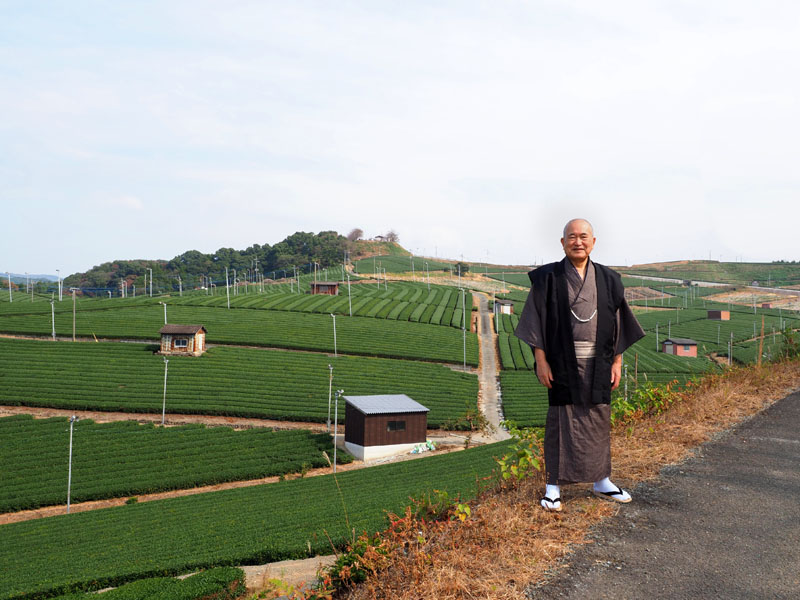 初めて知った広大な八女茶のプランテーションを背景に最後の記念撮影をした和田爺