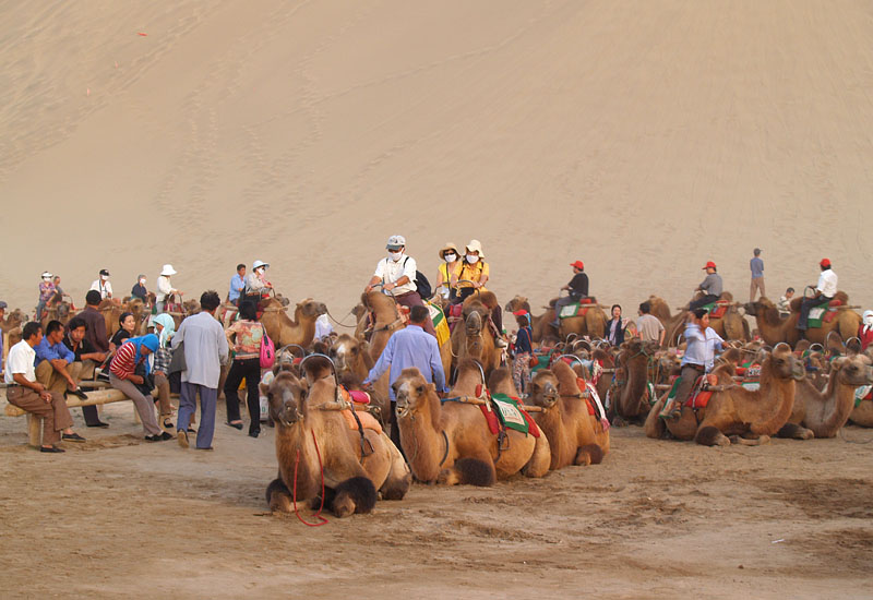駱駝に乗る観光客