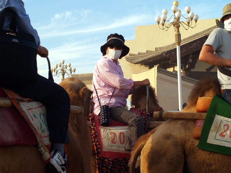 マスクをして駱駝に乗る