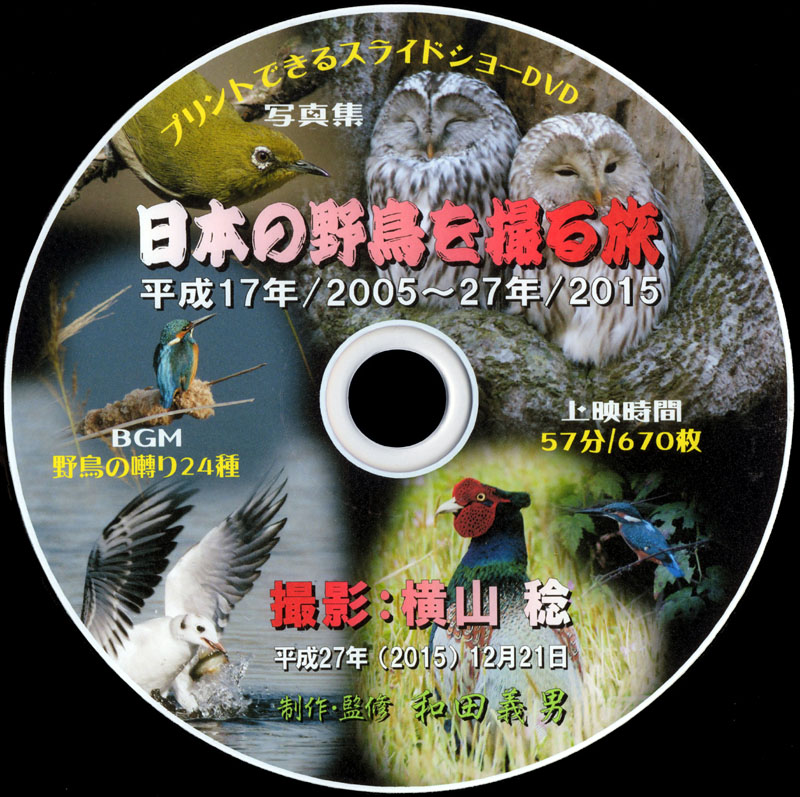 日本の野鳥を撮る旅DVD