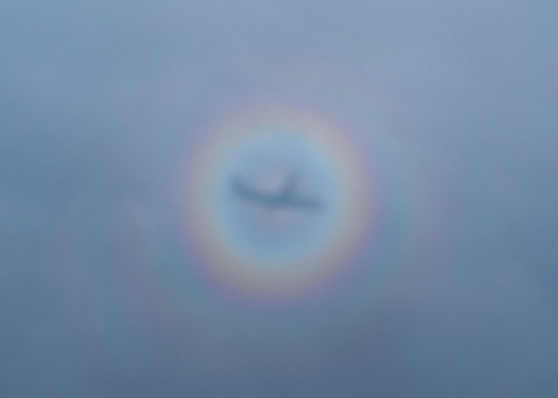 ブロッケンの虹　2007.10.18  08:34 / ニュージーランド北島トンガリロ国立公園上空