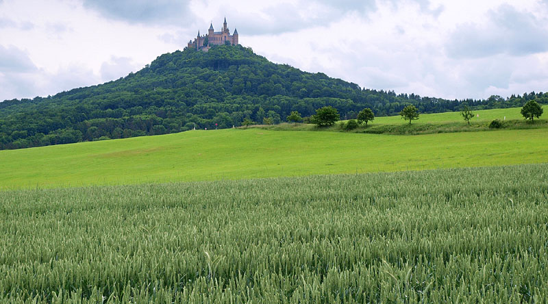 山城とヘッヒンゲンの麦畑