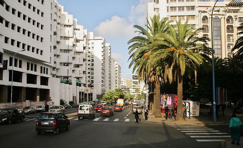 椰子の木が茂るモロッコ最大の都市カサブランカの町並み