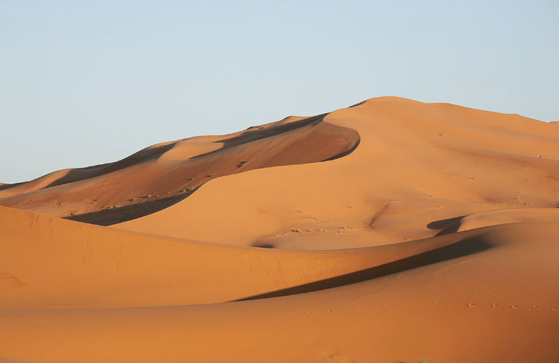 砂丘の造形美