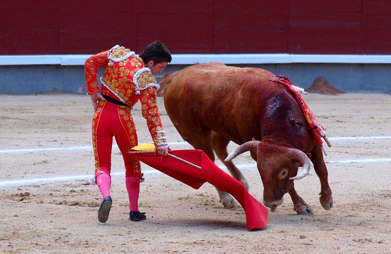 牛と一体となって舞うマタドール/マドリッド（スペイン）　2012.04.15 19：24