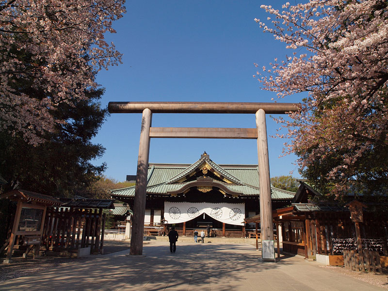 桜と靖國神社拝殿
