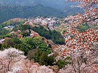 奈良・吉野山 1