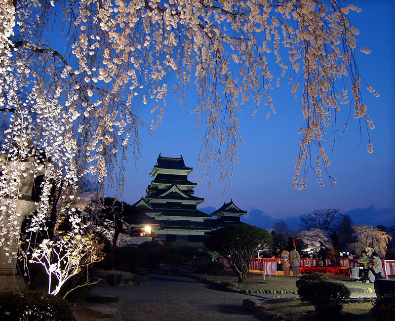 松本城の夜桜会