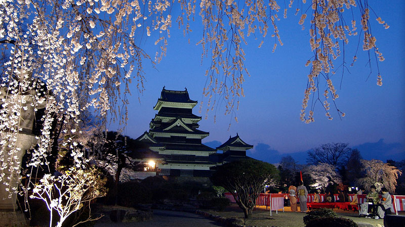 国宝・松本城の夜桜会（長野県松本市）
