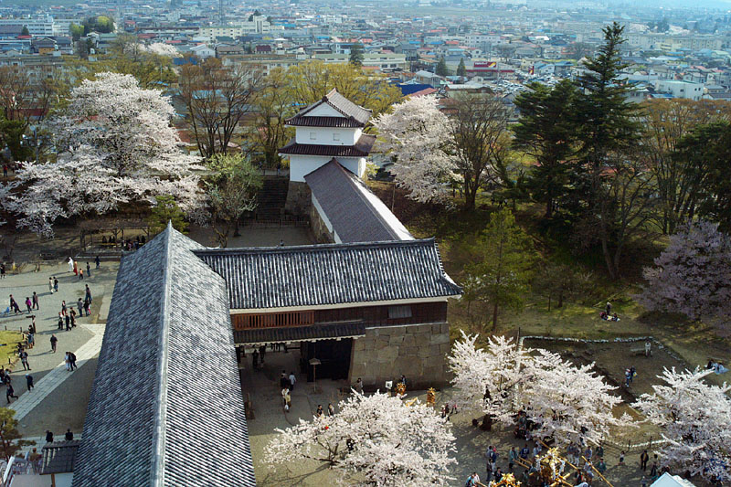 鶴ヶ城鉄門の桜