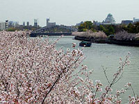 源八橋から大阪城を望む